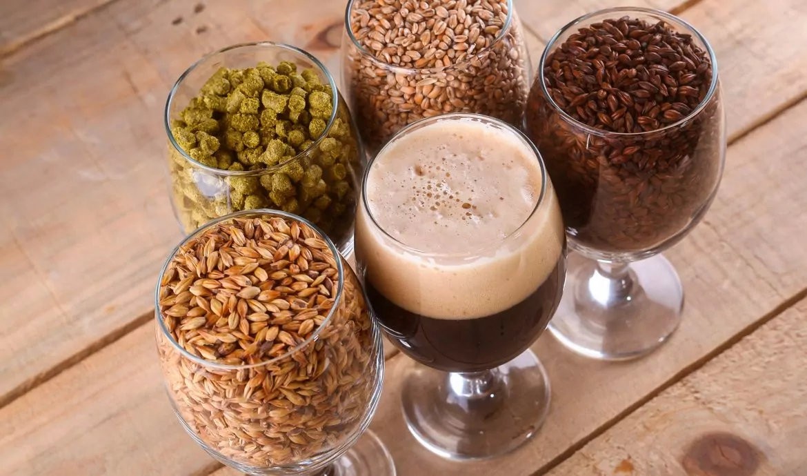 Beer malt: types, characteristics and uses in crafting beer